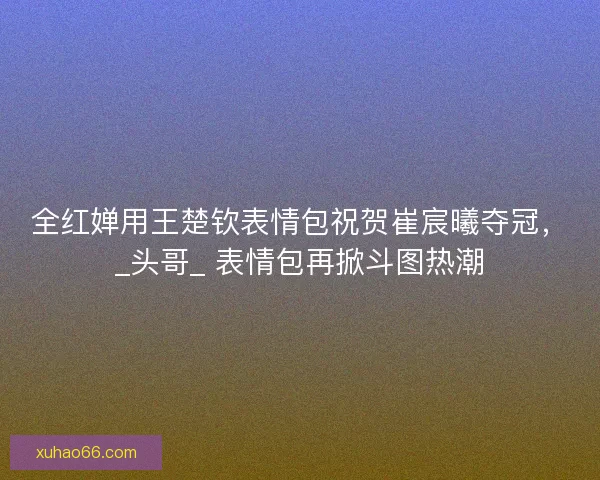 全红婵用王楚钦表情包祝贺崔宸曦夺冠，_头哥_ 表情包再掀斗图热潮